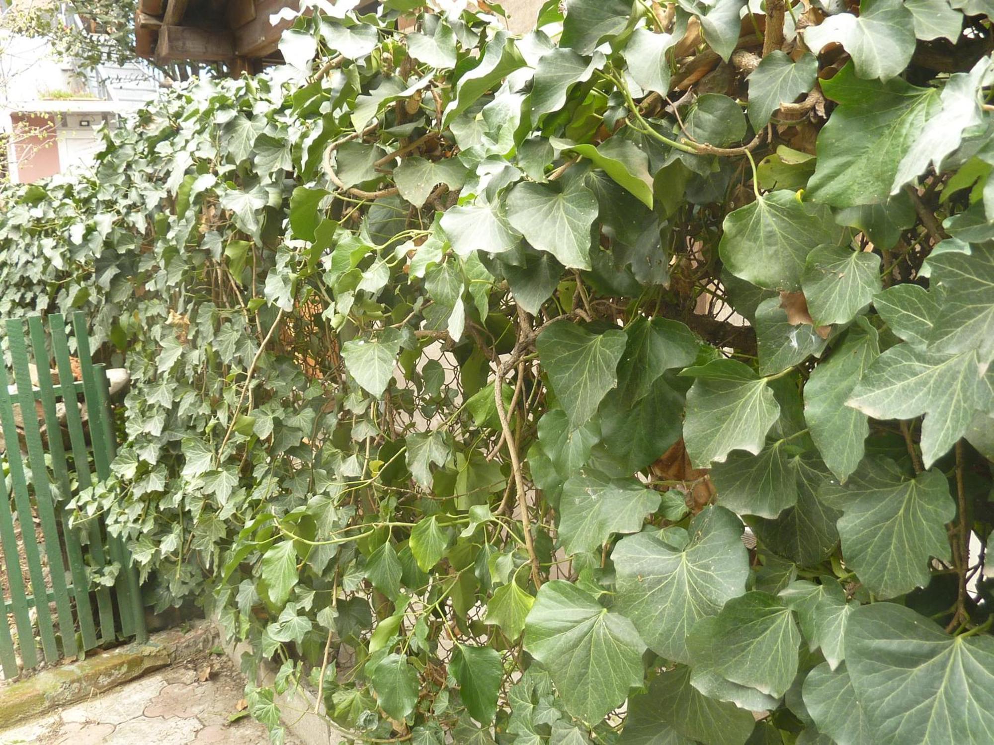 Hotel Gardens In Vake, Tiflis Exterior foto
